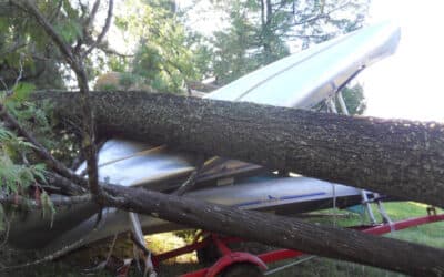 Storm of 2015 from Susan White